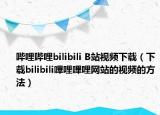 哔哩哔哩bilibili B站视频下载（下载bilibili嗶哩嗶哩网站的视频的方法）