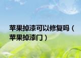 苹果掉漆可以修复吗（苹果掉漆门）