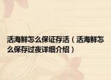 活海鲜怎么保证存活（活海鲜怎么保存过夜详细介绍）