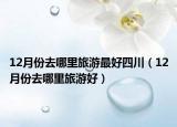 12月份去哪里旅游最好四川（12月份去哪里旅游好）