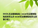 EXCEL无法复制粘贴（excel无法复制粘贴应该怎么办 excel无法复制粘贴怎么回事介绍）