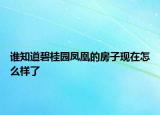 谁知道碧桂园凤凰的房子现在怎么样了