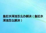 鱼缸水浑浊怎么办解决（鱼缸水浑浊怎么解决）