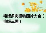 艳姬多肉植物图片大全（艳姬三国）