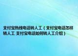 支付宝热线电话转人工（支付宝电话怎样转人工 支付宝电话如何转人工介绍）