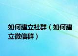 如何建立社群（如何建立微信群）