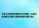 水果玉米减肥还是糯米玉米减肥（水果玉米和糯玉米哪个减肥效果好详细介绍）
