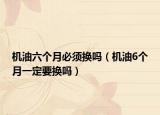 机油六个月必须换吗（机油6个月一定要换吗）