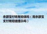 余额宝付钱有短信吗（用余额宝支付有短信提示吗）