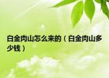 白金肉山怎么来的（白金肉山多少钱）