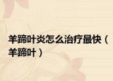 羊蹄叶炎怎么治疗最快（羊蹄叶）