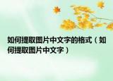 如何提取图片中文字的格式（如何提取图片中文字）