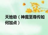 天地劫（神魔至尊传如何加点）
