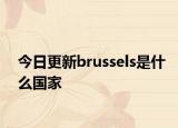 今日更新brussels是什么国家