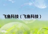 飞鱼科技（飞鱼科技）