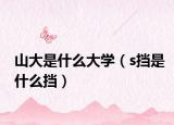 山大是什么大学（s挡是什么挡）