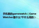 手机里的gamewatch（GameWatcher是什么?干什么用的）