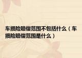 车损险赔偿范围不包括什么（车损险赔偿范围是什么）
