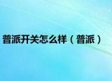 普派开关怎么样（普派）
