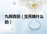 九阴真经（生死擂什么的）