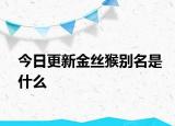 今日更新金丝猴别名是什么