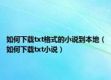 如何下载txt格式的小说到本地（如何下载txt小说）