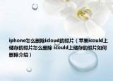 iphone怎么删除icloud的照片（苹果icould上储存的照片怎么删除 icould上储存的照片如何删除介绍）
