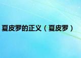 夏皮罗的正义（夏皮罗）