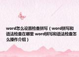word怎么设置检查拼写（word拼写和语法检查在哪里 word拼写和语法检查怎么操作介绍）