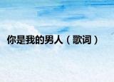 你是我的男人（歌词）
