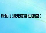 诛仙（混元真君在哪里）
