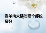 涮羊肉火锅吃哪个部位最好