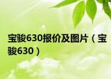 宝骏630报价及图片（宝骏630）