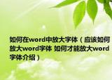 如何在word中放大字体（应该如何放大word字体 如何才能放大word字体介绍）