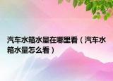 汽车水箱水量在哪里看（汽车水箱水量怎么看）