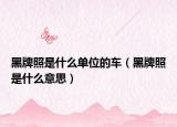 黑牌照是什么单位的车（黑牌照是什么意思）