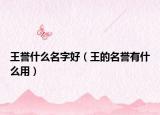 王誉什么名字好（王的名誉有什么用）