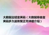 大数据出错变黄码（大数据排查变黄码多久能恢复正常详细介绍）
