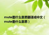 mute是什么意思翻译成中文（mute是什么意思）