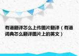 有道翻译怎么上传图片翻译（有道词典怎么翻译图片上的英文）