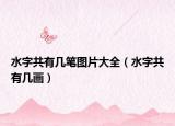 水字共有几笔图片大全（水字共有几画）