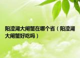 阳澄湖大闸蟹在哪个省（阳澄湖大闸蟹好吃吗）