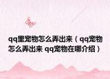 qq里宠物怎么弄出来（qq宠物怎么弄出来 qq宠物在哪介绍）