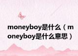 moneyboy是什么（moneyboy是什么意思）