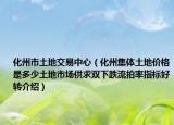 化州市土地交易中心（化州集体土地价格是多少土地市场供求双下跌流拍率指标好转介绍）