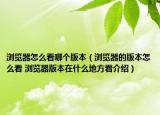 浏览器怎么看哪个版本（浏览器的版本怎么看 浏览器版本在什么地方看介绍）