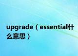 upgrade（essential什么意思）