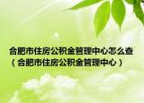 合肥市住房公积金管理中心怎么查（合肥市住房公积金管理中心）