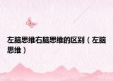 左脑思维右脑思维的区别（左脑思维）