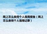 网上怎么查询个人信用报告（网上怎么查询个人信用记录）